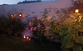 Ideal One Bedroom Appartment In Naas Oo Kildare